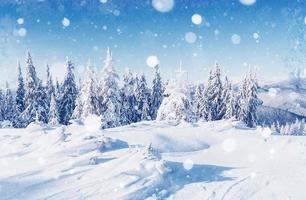 winter landscape trees and fence in hoarfrost, background with s photo