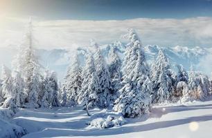 Mysterious winter landscape majestic mountains in . Magica photo