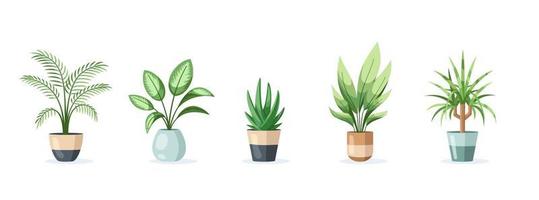 Set of home plants in pots isolated on white background vector