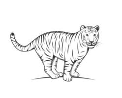 silueta de tigre aislado sobre fondo blanco vector
