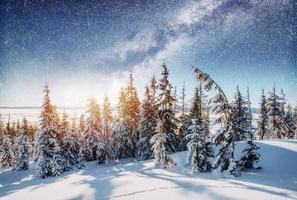 Dairy Star Trek in the winter woods. Dramatic and picturesque sc photo