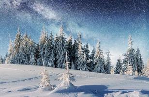 Dairy Star Trek in the winter woods. Dramatic and picturesque sc photo