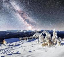 Dairy Star Trek in the winter woods. Dramatic and picturesque sc photo