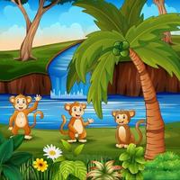 dibujos animados tres de monos junto al río vector