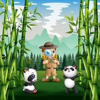 un chico de safari con pandas en el parque vector