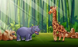 Cartoon illustration of hippo and giraffe living in the forest vector