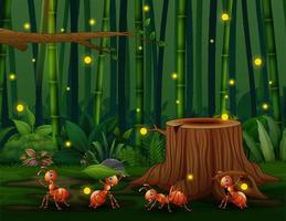 felices cuatro hormigas en el bosque de bambú con luciérnagas vector