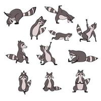 Hand drawn collections with raccoon do yoga. Asana set. Cute wildlife animal character do fitness. Isolated vector design.