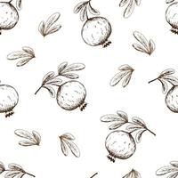 Simple vector seamless pattern. Dark brown contour pomegranate on a branch with leaves on a white background. For prints of fabric, textile products, packaging, label. Organic fruits.