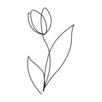 continuous lines of flowers greeting card concept logo vector