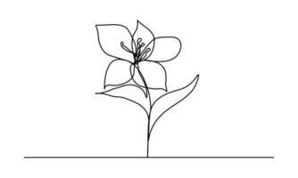 continuous lines of flowers Single line art. Tropical leaves. Isolated botanical plants. simple art design abstract lines vector for frame Fashion design, web pictures, packaging