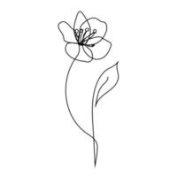 Continuous line Decorative tulip flower, design element. Can be used for cards, invitations, banners, posters, print design. Floral background in line art style vector