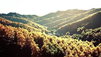 View on autumn forest in mountains and blue sky of Switzerland photo