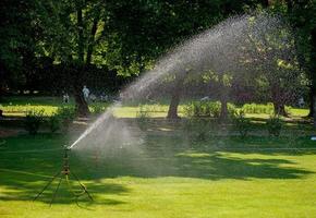 agua rociada para jardín foto