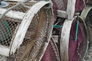 Brown and Maroon Fish Traps photo