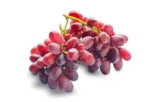 Red grapes isolated on white background with clipping path. photo