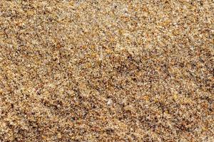 Sand gravel texture on the beach for background. Top view. photo