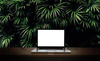 Modern laptop isolated on green leaf background. 3D illustration. photo