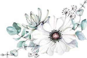 ramo de flores de anémona pintado con acuarelas 2 vector