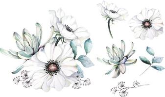 ramo de flores de anémona pintado con acuarelas 3 vector