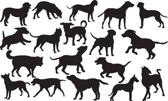 Vector silhouette of dog on white background.