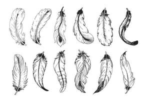 Hand drawn vintage feathers set. Vector illustration.