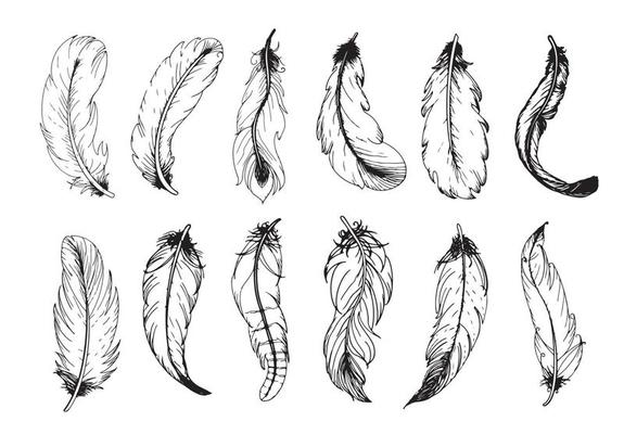 Hand drawn vintage feathers set. Vector illustration.