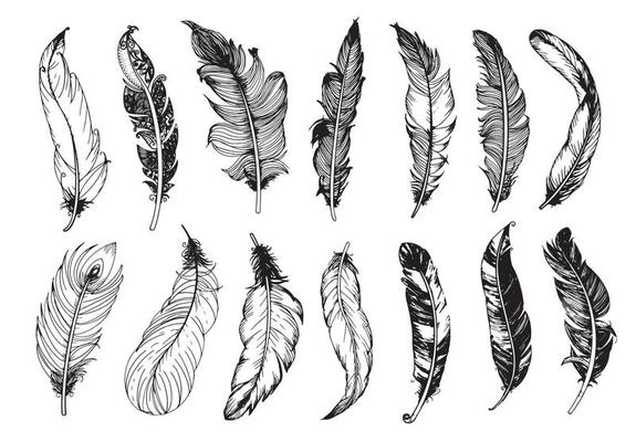 Hand drawn vintage feathers set. Vector illustration.