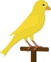 Yellow canary on bird perch vector illustration