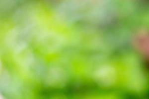 Abstract nature green blur background with bokeh photo