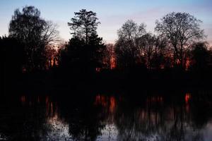puesta de sol sobre el lago con silueta de árboles desnudos foto