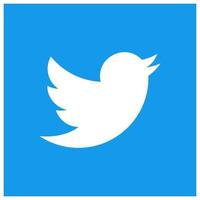 twitter social media icon vector