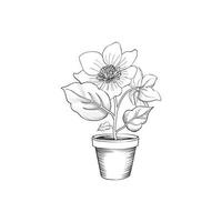 Flower pot line art drawing  Floral engraving background with flower bloom for garden design vector