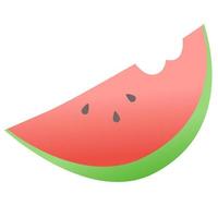 Fresh water melon. vector