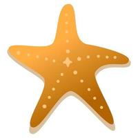 Star fish sea. vector