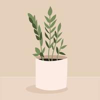 Indoor plant zamioculcas in a pot for interior decor at home, office, indoor use. Vector illustration isolated on beige background. Trendy home decor with plants