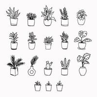 set of minimalistic cute houseplants vector illustration