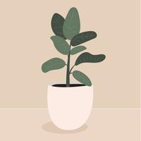 planta casera en una olla blanca sobre un fondo beige. ilustración vectorial de ficus. un elemento de diseño elegante de una planta de interior para el interior de una habitación moderna. vector