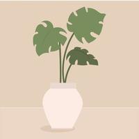 Monstera in a pot. Tropical home plant for interior decor of home or office. Vector illustration isolated on beige background