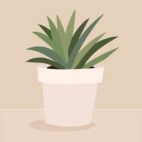 Chlorophytum house plant in white pot, vector icon on beige background
