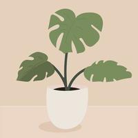 Monstera in a pot. Tropical home plant for interior decor of home or office. Vector illustration isolated on beige background