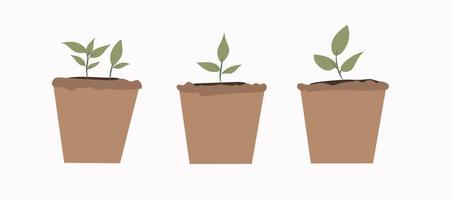 set growing seed of a tree with green leaves in a pot. Young shoots rising from well-fertilized soil. Stages of growth. Vector illustration