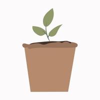 growing seed of a tree with green leaves in a pot. Young shoots rising from well-fertilized soil. Stages of growth. Vector illustration