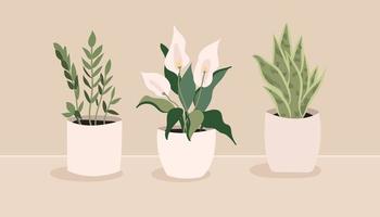 Interior home indoor plants hand drawn vector illustrations set, on beige bacground