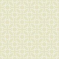 Seamless pattern or Islamic background vector