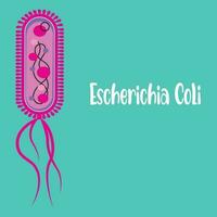 Illustration of Escherichia coli bacteria vector