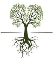 árbol verde con raíces. ilustración vectorial vector