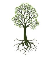 Green Tree with Roots. Vector Illustration.