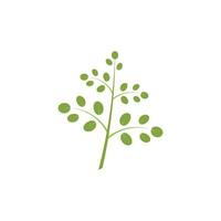 Moringa leaf logo illustration vector design