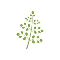 Moringa leaf logo illustration vector design